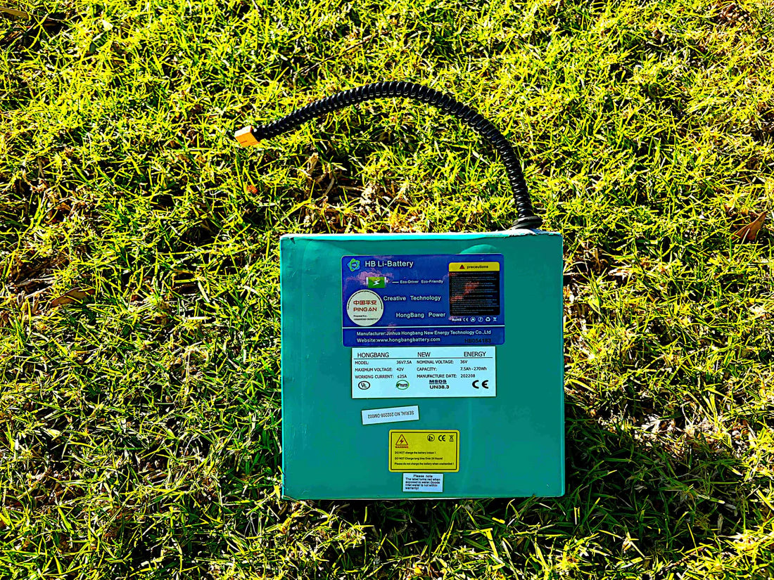 Lithium Battery Mobility Scooters: The Future of Mobility Aids for Older Adults