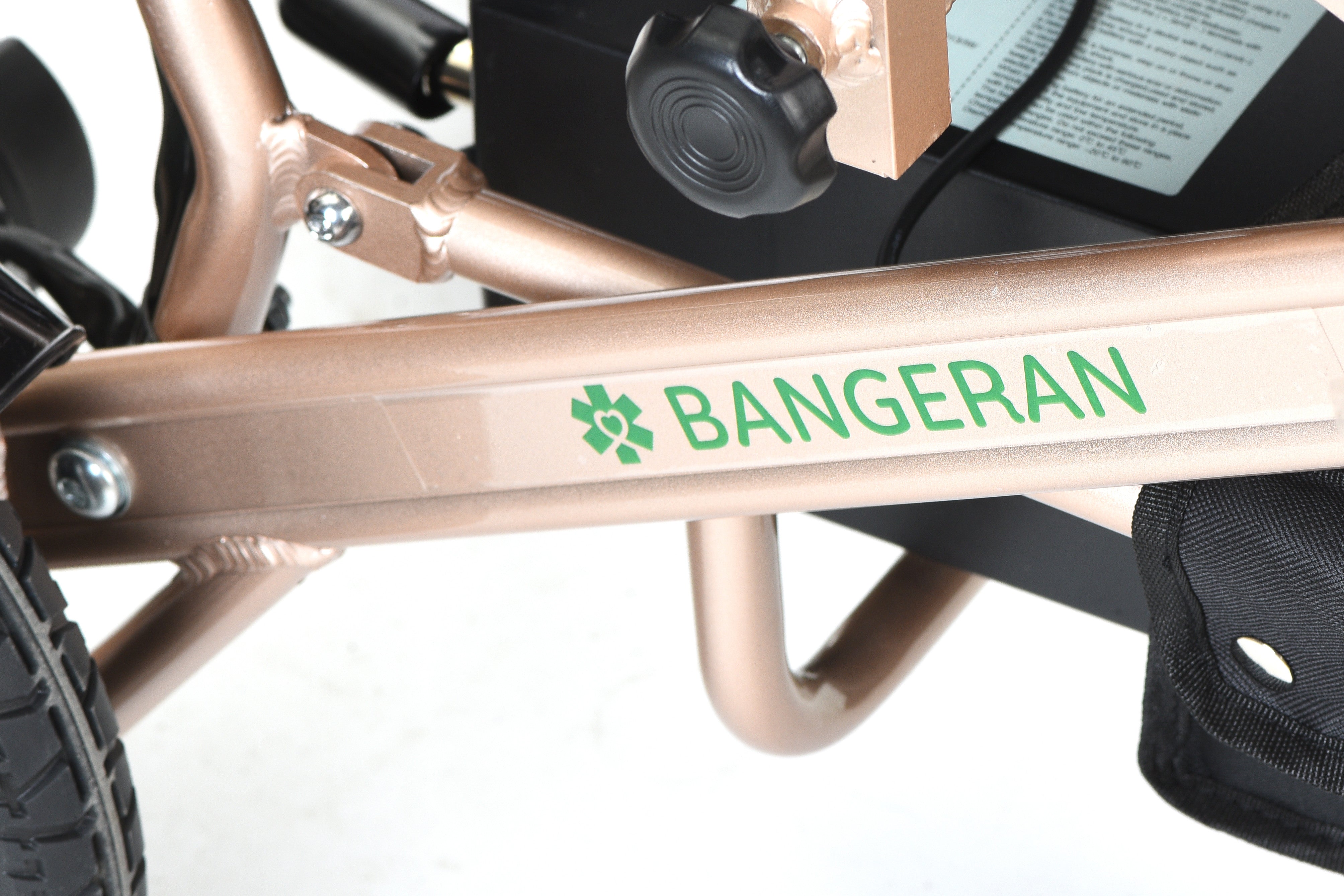 Pegasus Cerebral Palsy