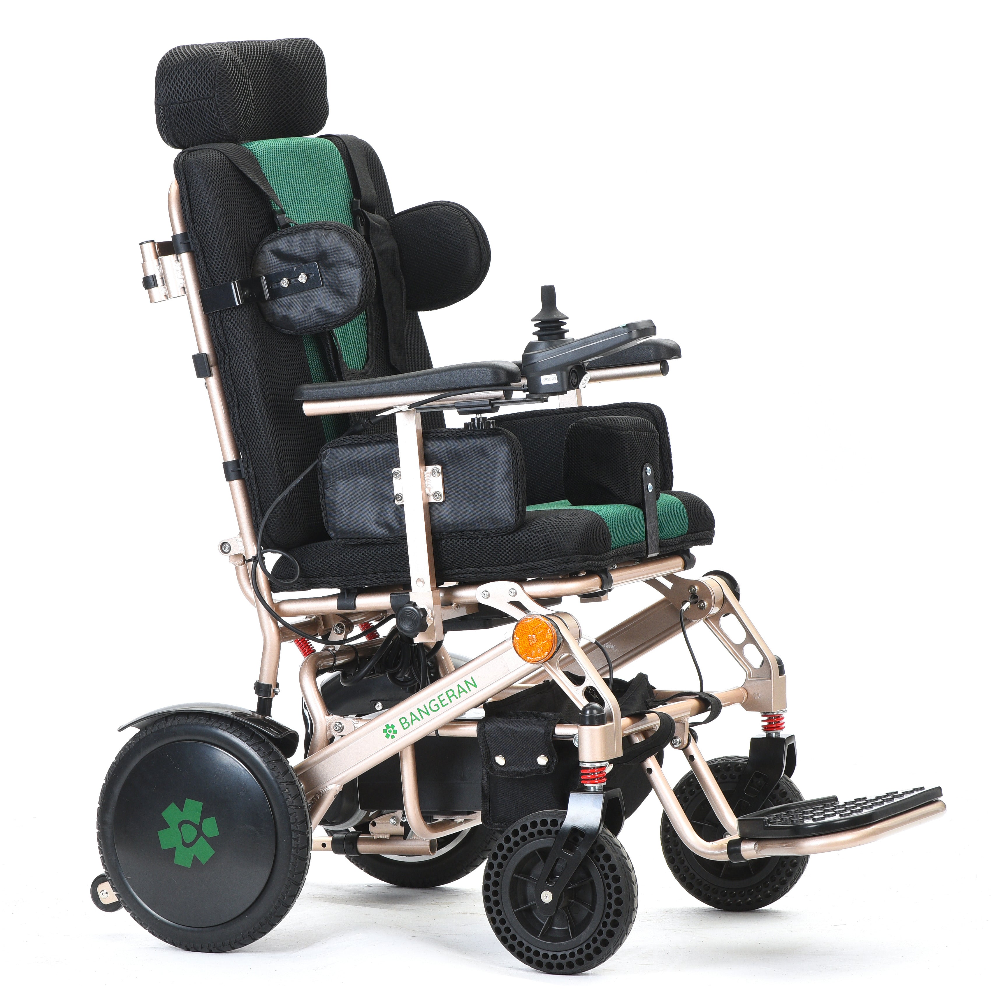 Pegasus Cerebral Palsy
