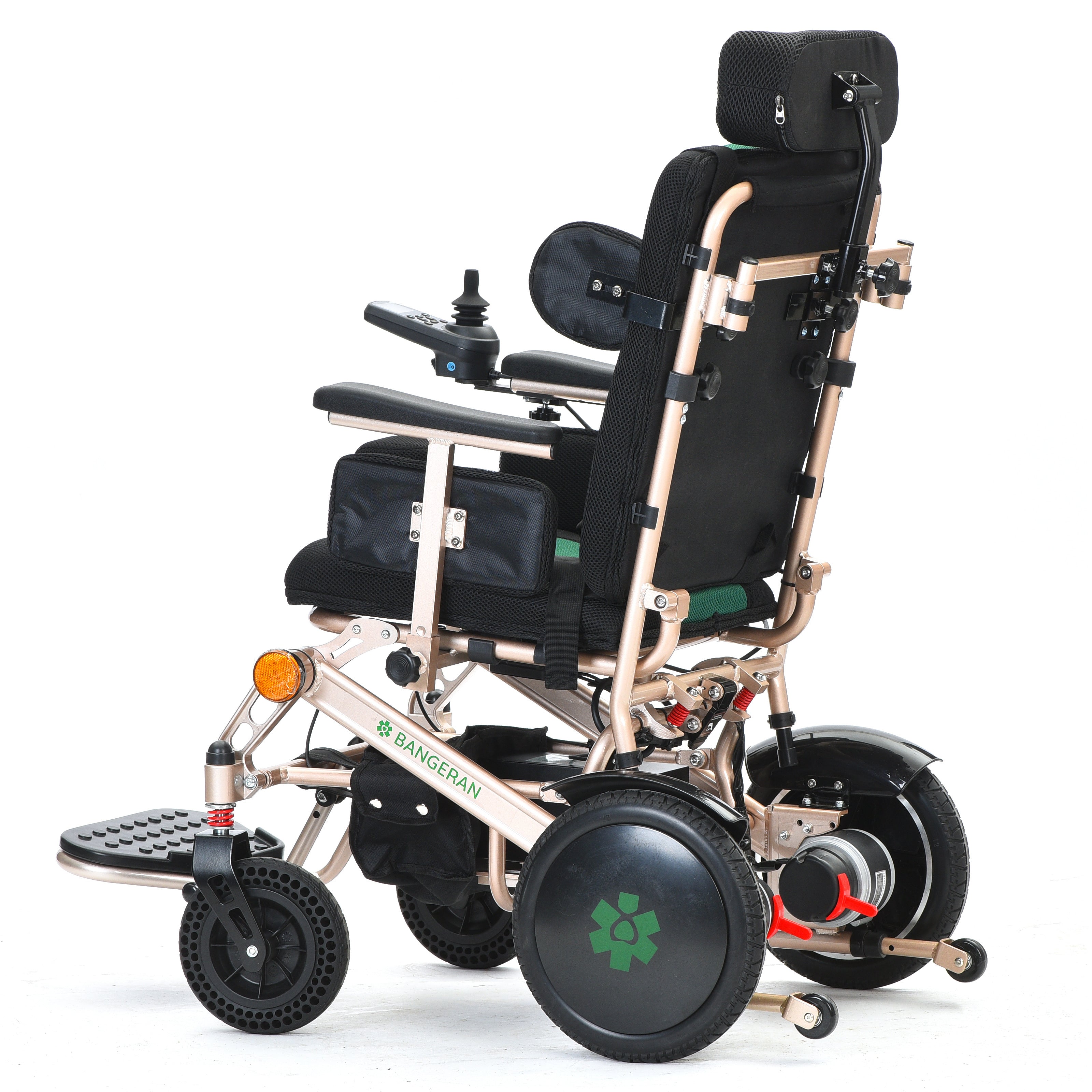 Pegasus Cerebral Palsy