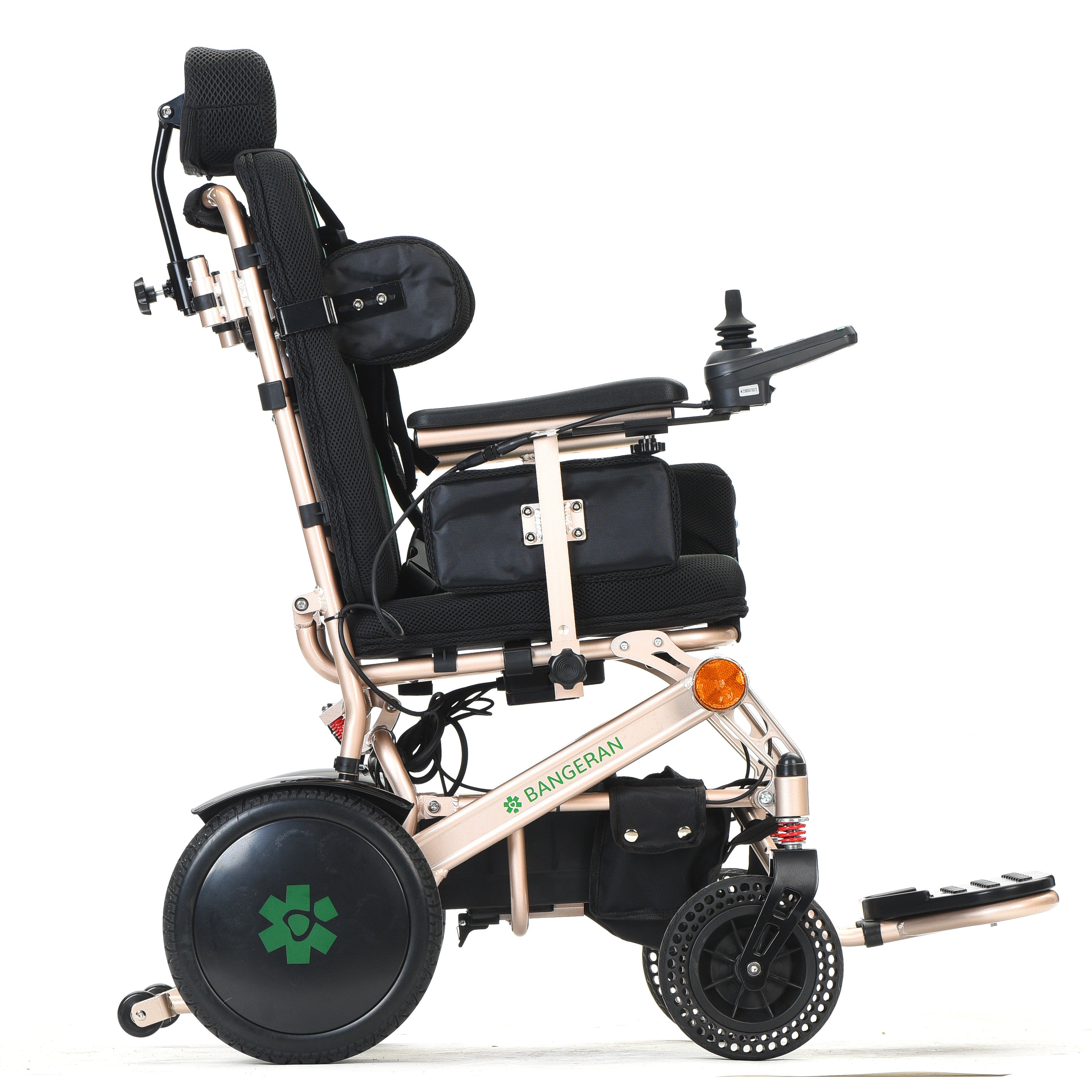 Pegasus Cerebral Palsy
