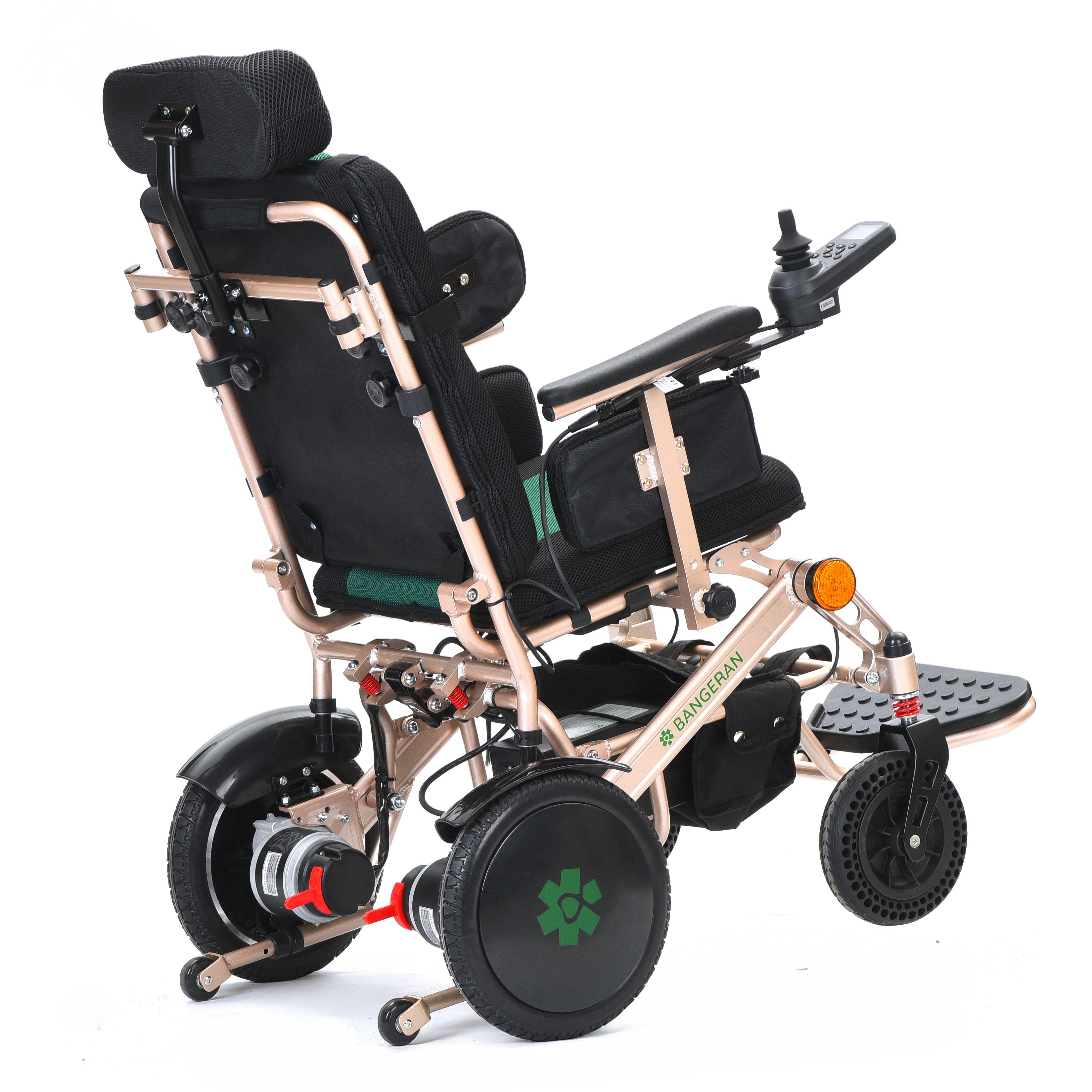 Pegasus Cerebral Palsy