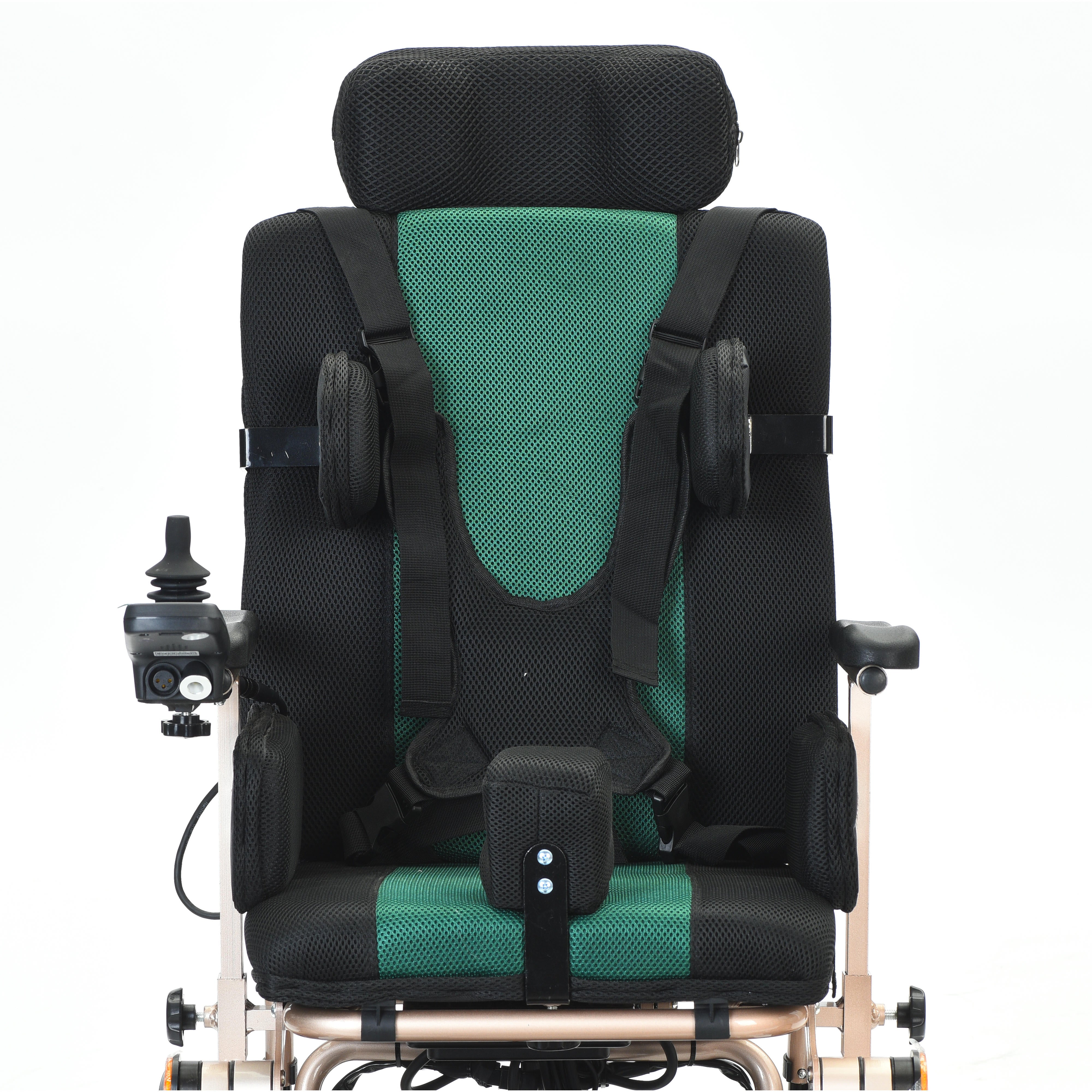 Pegasus Cerebral Palsy