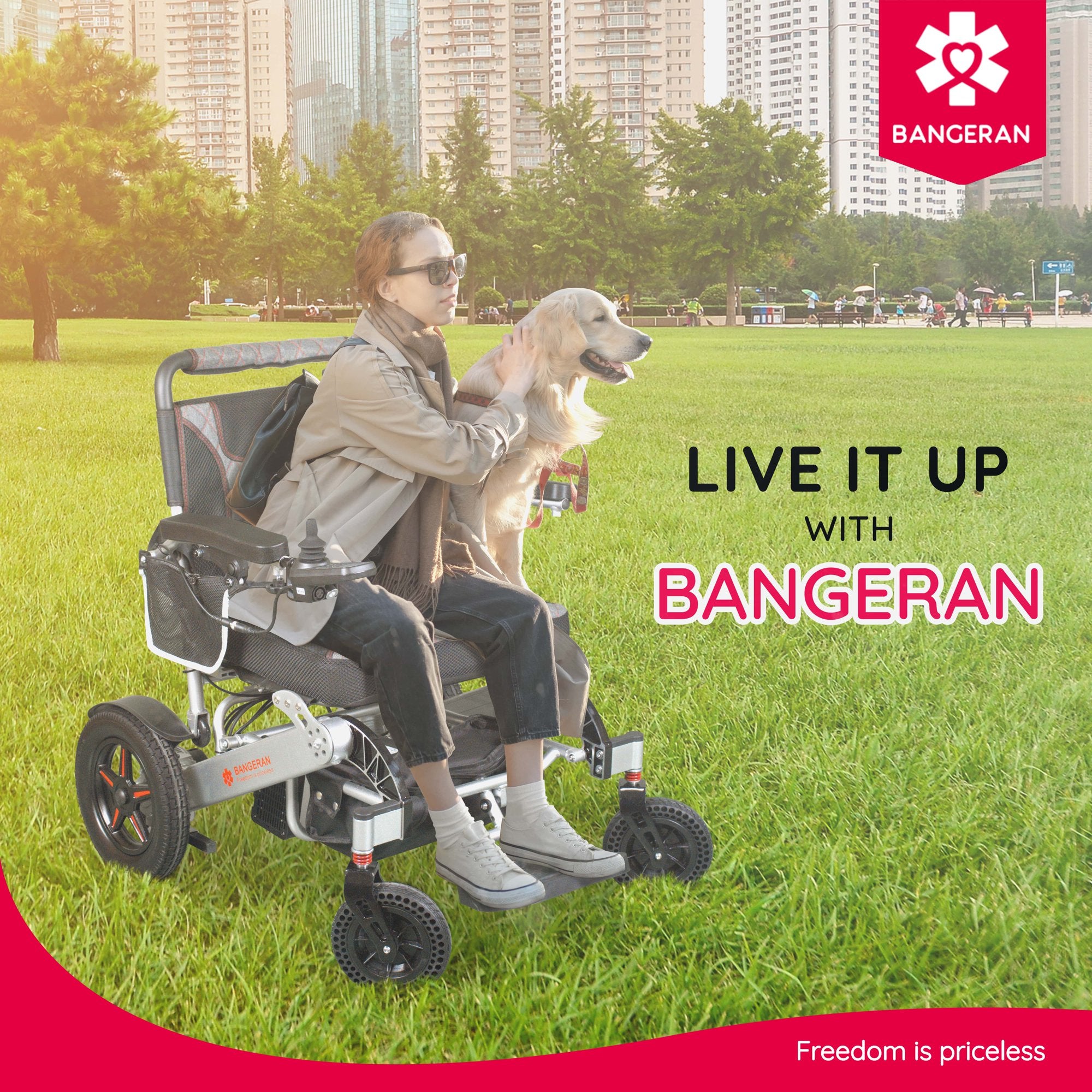 Mammoth 22 Portable Ergonomic Electric Adult Wheelchair