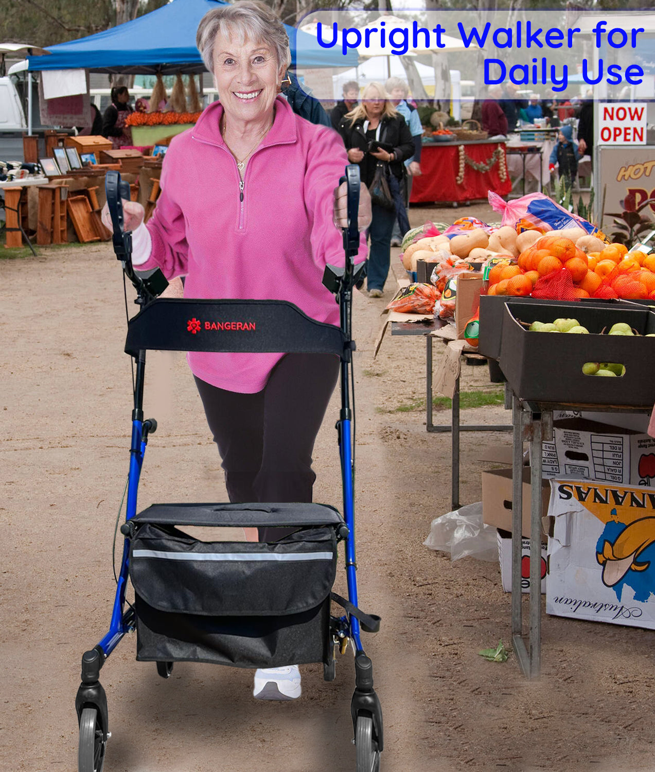 BreezeStride Rollator